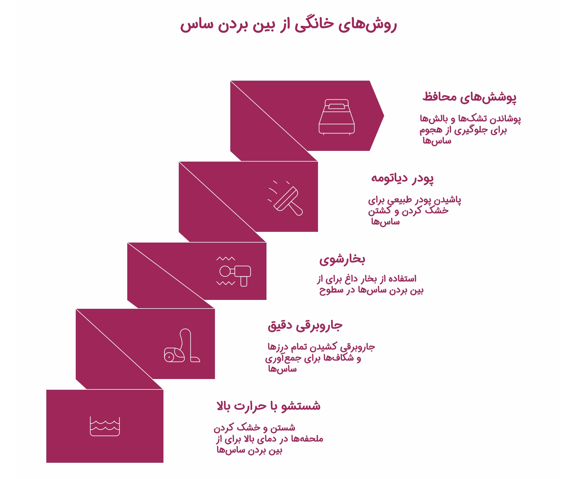 اینفوگرافیک از بین بردن ساس