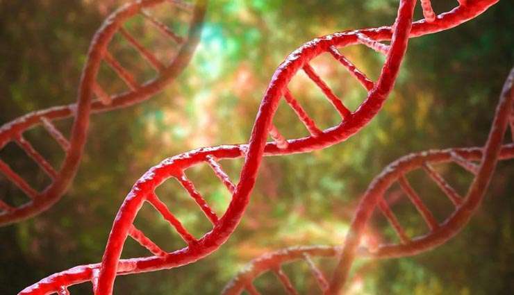 سندرم ترنر ،سندرم ترنر؛ همه‌چیز درباره این اختلال ژنتیکی در دختران ،مبتلایان به سندرم ترنر ممکن است چه بیماری‌های دیگری داشته باشند؟