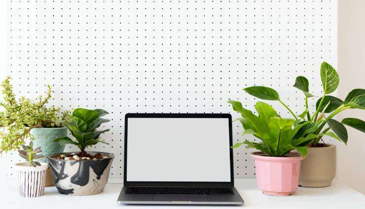 گل‌وگیاه ،۹ اثر مثبت وجود گل‌وگیاه در محیط کار ،تأثیرات هم‌زیستی با طبیعت در محل کار ، به حداقل رساندن صداهای مزاحم