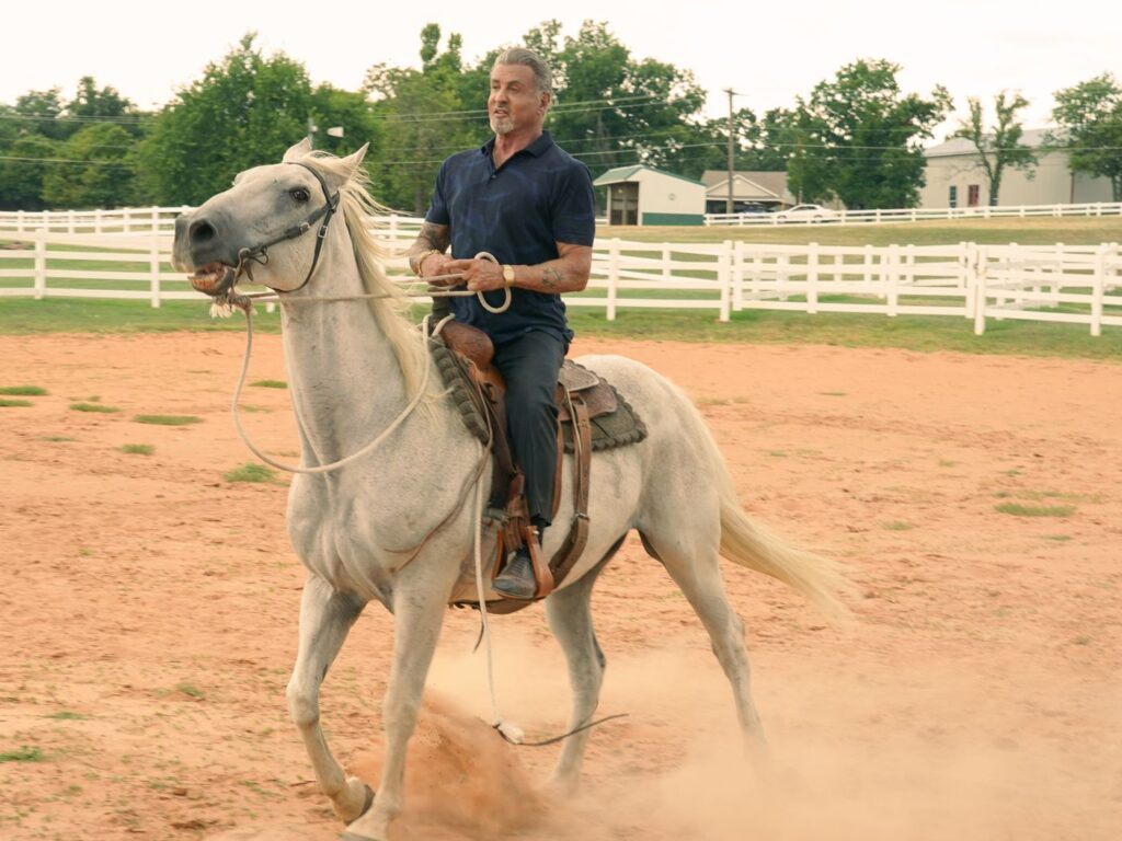 15 سریال گانگستری کمتر دیده شده ای که باید حتما ببینید 50 15 سریال گانگستری کمتر دیده شده ای که باید حتما ببینید