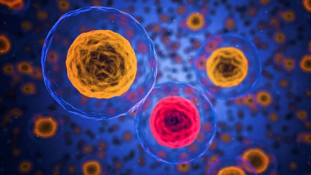 نرخ سرطان برای جوانان زیر ۵۰ سال درحال افزایش است 4 نرخ سرطان برای جوانان زیر ۵۰ سال درحال افزایش است.webp