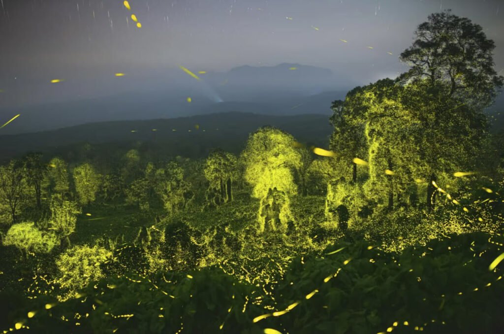 برندگان مسابقه عکاسی حیات وحش سال ۲۰۲۳ اعلام شدند 30 1697202439 571 برندگان مسابقه عکاسی حیات وحش سال ۲۰۲۳ اعلام شدند