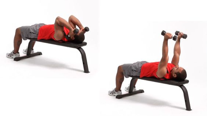 هیپرتروفی عضلانی؛ هرآنچه باید بدانید 6 پشت بازو دمبل خوابیده یکی از تمرینات هیپرتروفی