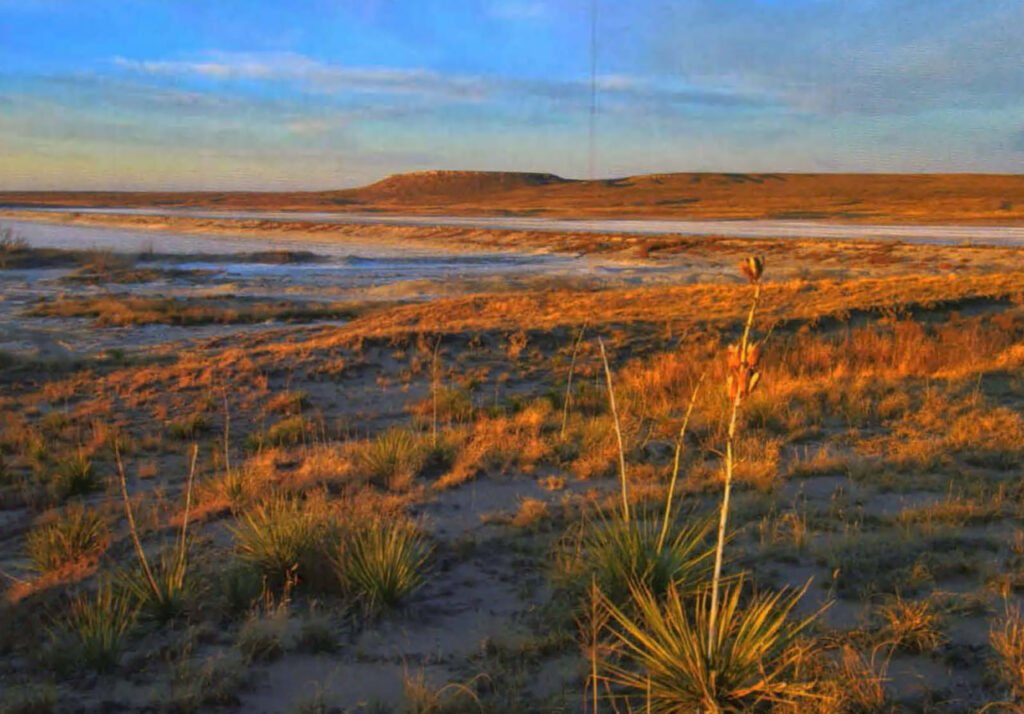 1698581851 318 650 هزار هکتار از دشت‌های بزرگ آمریکا در سال 2021