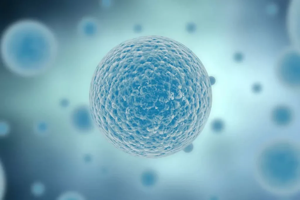 گونه‌های حیات مصنوعی می‌توانند آینده پزشکی و داروها را متحول.webp