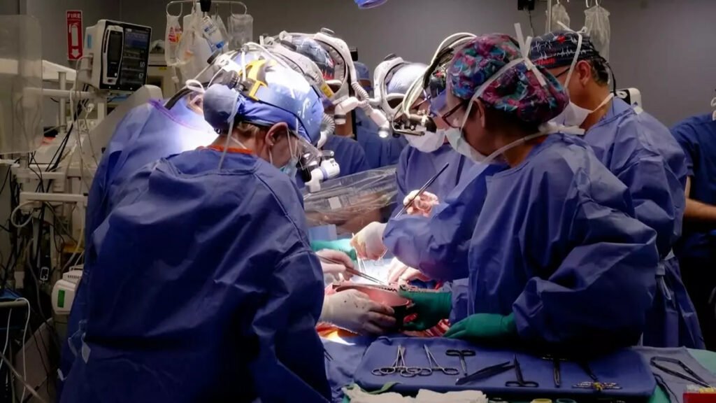 1698877777 647 دومین بیمار دریافت‌کننده قلب خوک به‌دلیل نارسایی قلبی درگذشت