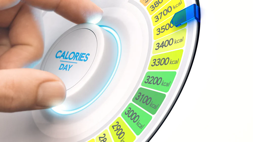 افراد چاق در طول روز انرژی کمتری می سوزانند 4 1700186734 15 افراد چاق در طول روز انرژی کمتری می سوزانند.webp