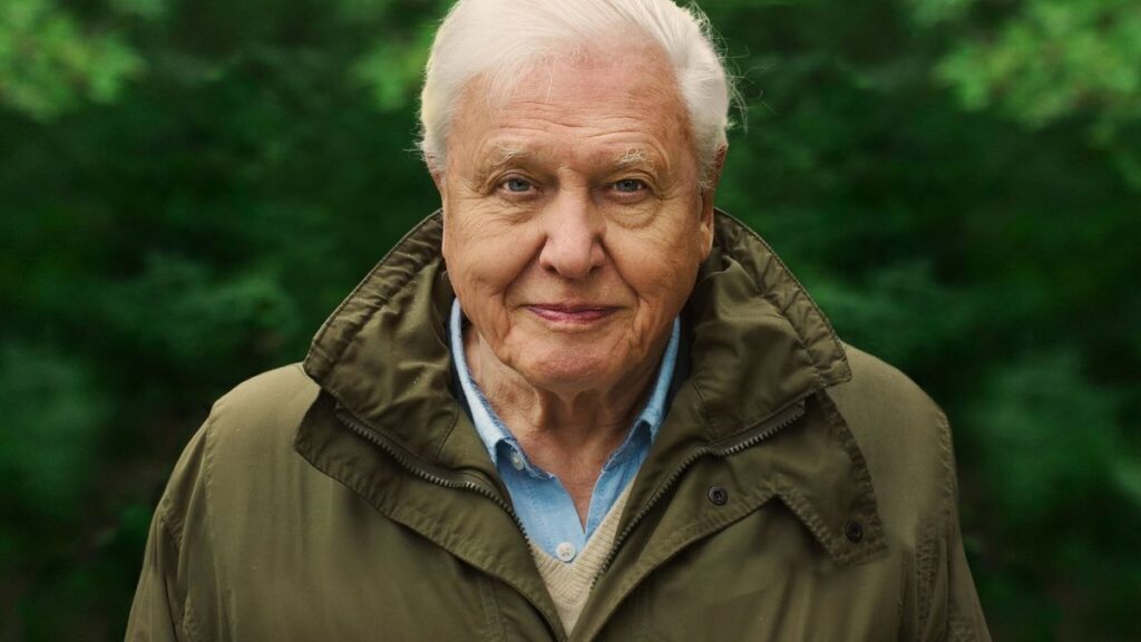 ۱۰ مستند که نگاه شما به جهان را تحول خواهد داد 43 David Attenborough: A Life on Our Planet