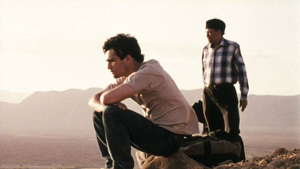 بهترین فیلم ها در مورد مهاجرت و زندگی در غربت