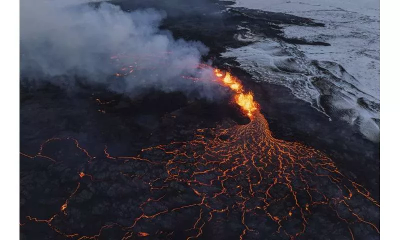 گیاهان از زمان فوران آتشفشان مطلع می باشند.webp