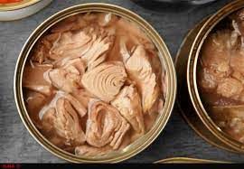 1704597203 قیمت تن ماهی ارزان شد