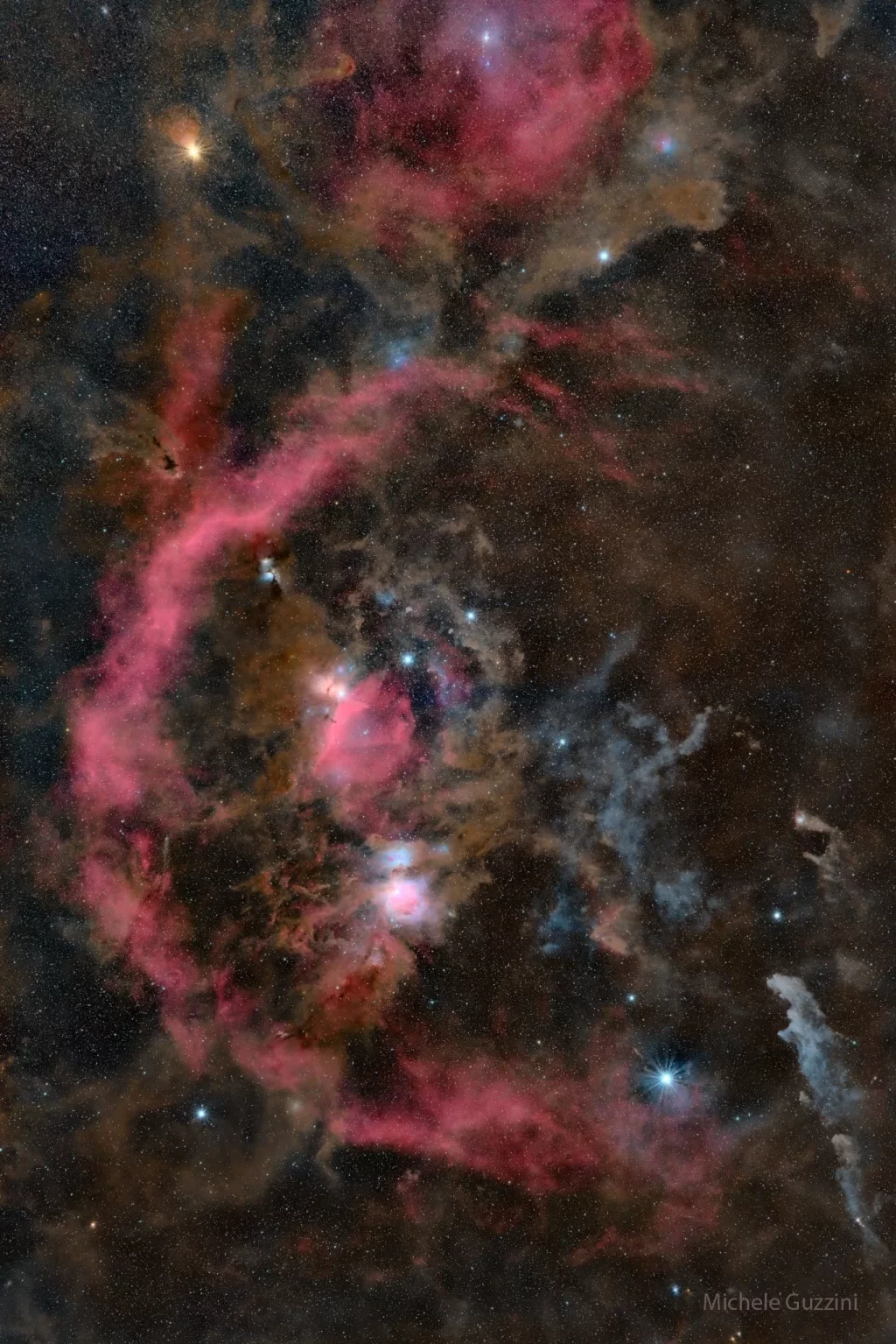 شکارچی که تقریباً می‌توانید ببینید.webp