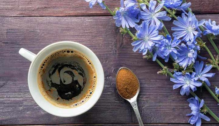 1707130350 قهوه کاسنی چیست؛ خواص و روش تهیه چیکوری کافی