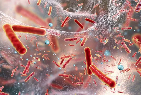 1708678861 581 گسترش مولکول‌هایی از آنتی‌بیوتیک‌ها که می‌توانند بر باکتری‌های مقاوم به.webp