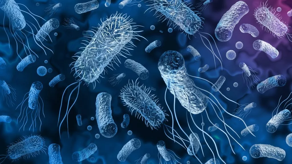 1708678861 840 گسترش مولکول‌هایی از آنتی‌بیوتیک‌ها که می‌توانند بر باکتری‌های مقاوم به.webp