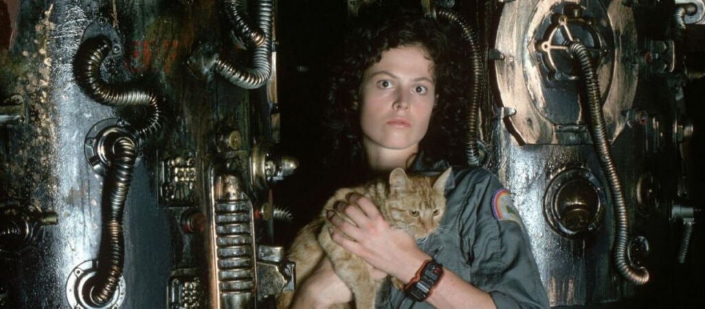 چگونه تصویر زن در فیلم‌ های اکشن تغییر کرده است؟