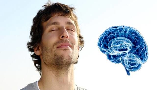 1711823144 اگر حافظه قوی می خواهید ، این میوه را فراموش