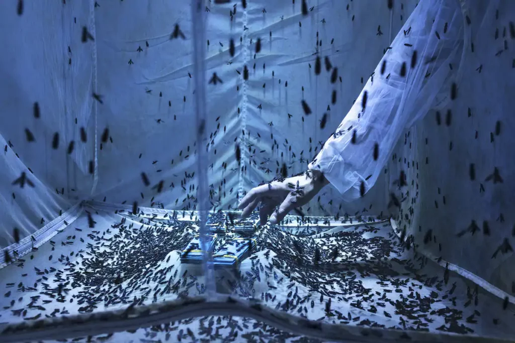 تصاویر برتر مسابقه جهانی عکاسی سونی 2024 اشکار شدند_آفتاب وطن 31 1713023491 679 تصاویر برتر مسابقه جهانی عکاسی سونی 2024 اشکار شدند آفتاب وطن.webp