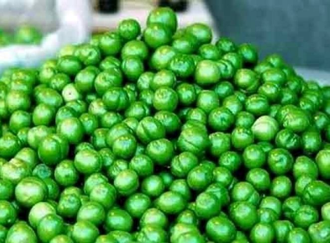 1714029490 این ۱۰ گروه به هیچ گفتن گوجه سبز نخورند آفتاب وطن