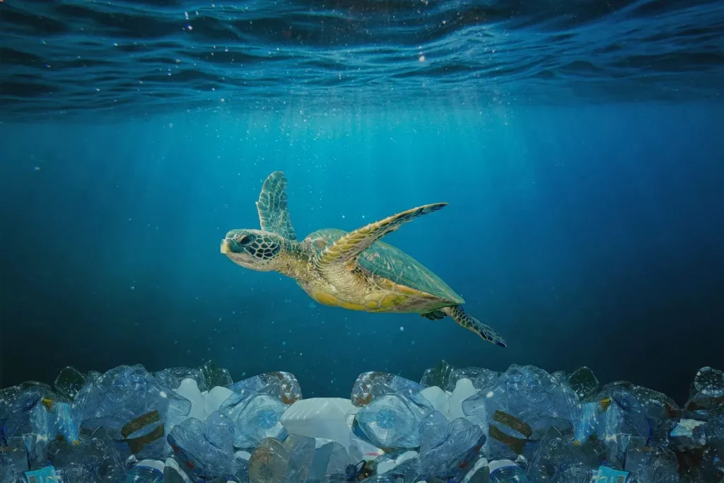 هر دقیقه نزدیک به یک کامیون زباله پلاستیک داخل اقیانوس‌ها.webp