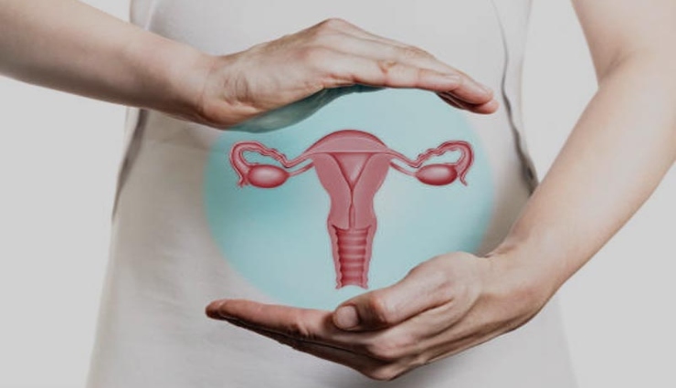 تصویری از رحم و تخمدان‌ها - نارسایی تخمدان