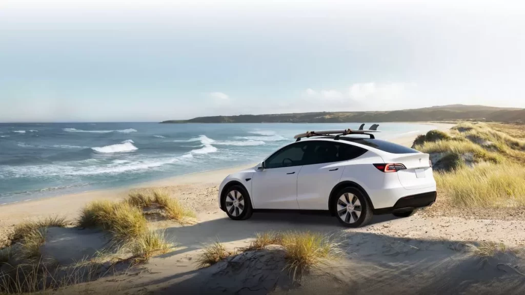 با پرداخت دو هزار دلار، برد تسلا مدل Y خود.webp