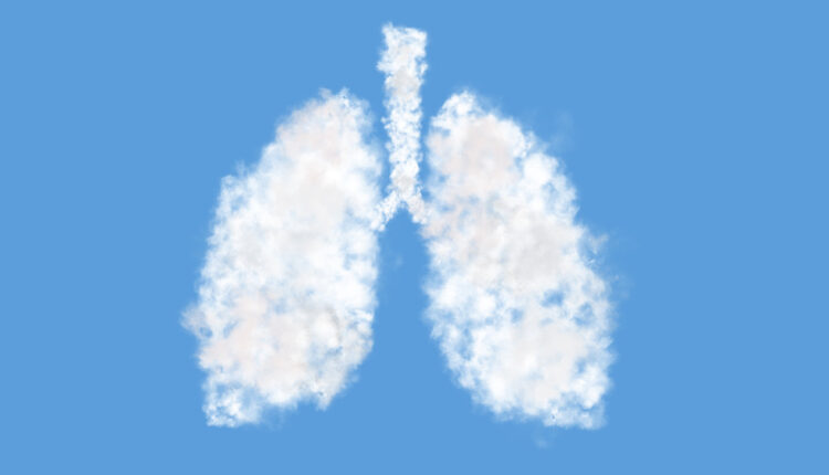 1724657646 218 اگر روزی یک عدد موز بخوریم، چه اتفاقی می‌افتد؟ آفتاب وطن