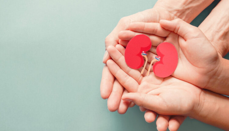 1724657647 991 اگر روزی یک عدد موز بخوریم، چه اتفاقی می‌افتد؟ آفتاب وطن