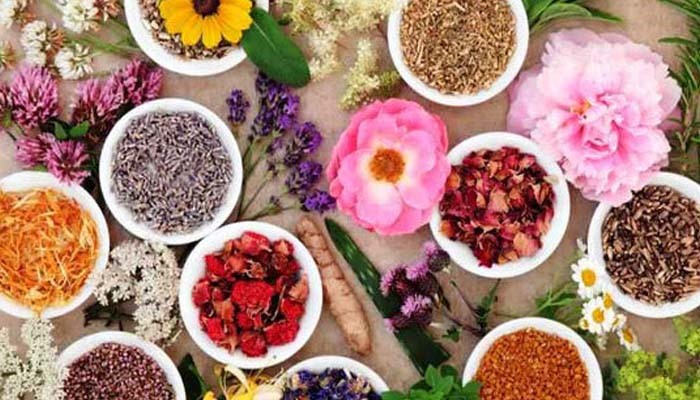 هویت ایرانی از گیاهان دارویی