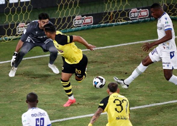 1731226156 قشنگ‌ترین گل زندگی حاج‌صفی آفتاب وطن