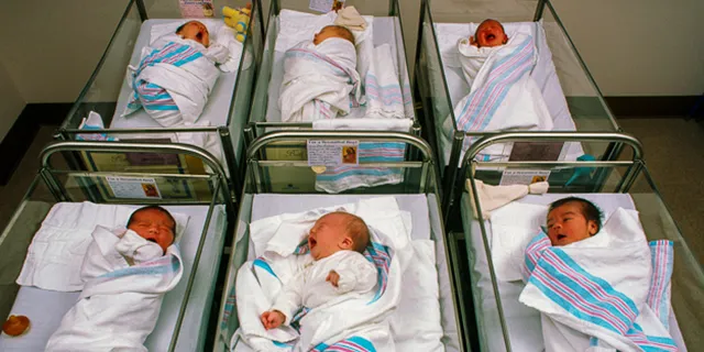 تعداد تولد نوزادان در هر ساعت در کشورهای گوناگون چطور است؟ + اینفوگرافی_آفتاب وطن 13 1734410266 236 تعداد تولد نوزادان در هر ساعت در کشورهای گوناگون چطور.webp