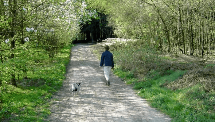 1741592790 599 چرا در بهار افسرده می‌شویم؟ چطور با افسردگی بهاری.webp