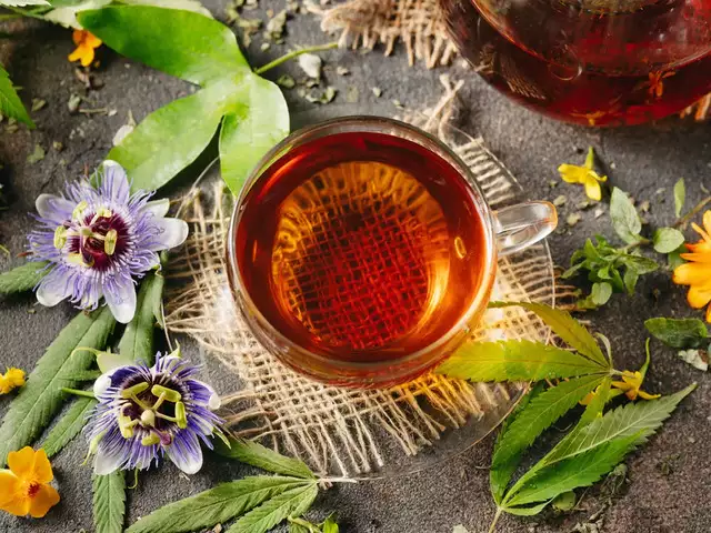 دمنوش های سودمند: ۱۲ دمنوش گیاهی سودمند که باید امتحان کنید!_آفتاب وطن 36 1742493343 102 دمنوش های سودمند ۱۲ دمنوش گیاهی سودمند که باید امتحان.webp