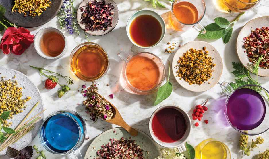 1742493344 دمنوش های سودمند ۱۲ دمنوش گیاهی سودمند که باید امتحان.webp