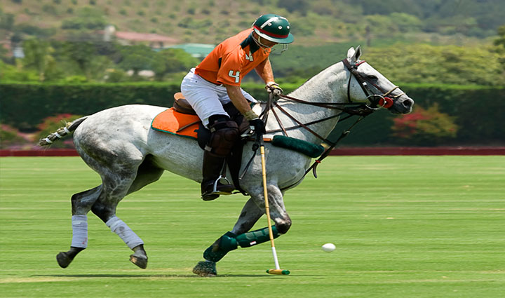 گران ترین ورزش های جهان؛ ۱۱ ورزش لاکچری و پرهزینه اما جذاب_آفتاب وطن 28 چوگان - گران ترین ورزش های جهان