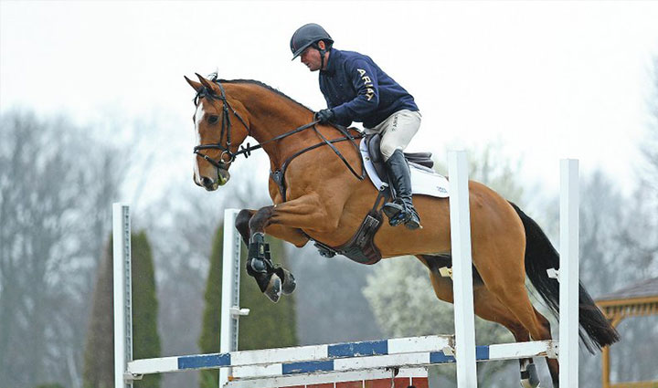 گران ترین ورزش های جهان؛ ۱۱ ورزش لاکچری و پرهزینه اما جذاب_آفتاب وطن 24 اسب سواری - گران ترین ورزش های جهان