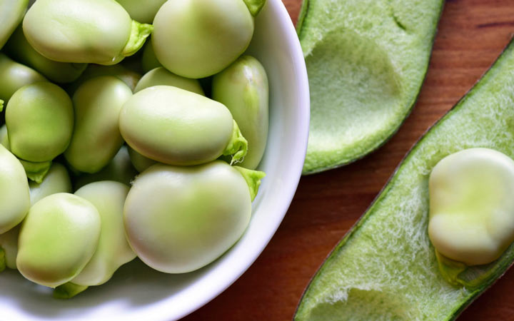 خواص باقلا و خواص باقلا پخته؛ ۶ خاصیت درمانی یکی از غنیترین منبع های فیبر_آفتاب وطن 22 خواص باقلا - حقایقی در مورد باقلا