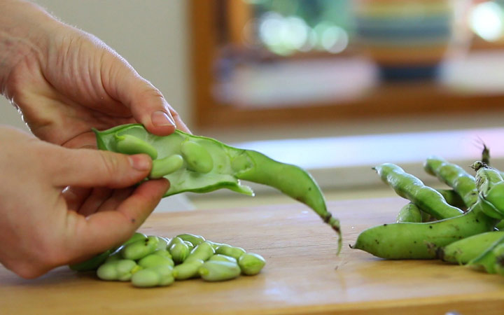 خواص باقلا و خواص باقلا پخته؛ ۶ خاصیت درمانی یکی از غنیترین منبع های فیبر_آفتاب وطن 21 خواص باقلا -فواید باقلا