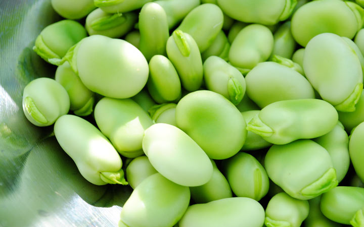 خواص باقلا و خواص باقلا پخته؛ ۶ خاصیت درمانی یکی از غنیترین منبع های فیبر_آفتاب وطن 20 فواید باقلا