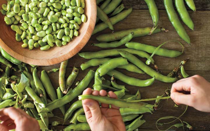 خواص باقلا و خواص باقلا پخته؛ ۶ خاصیت درمانی یکی از غنیترین منبع های فیبر_آفتاب وطن 24 خواص باقلا - آماده کردن باقلا