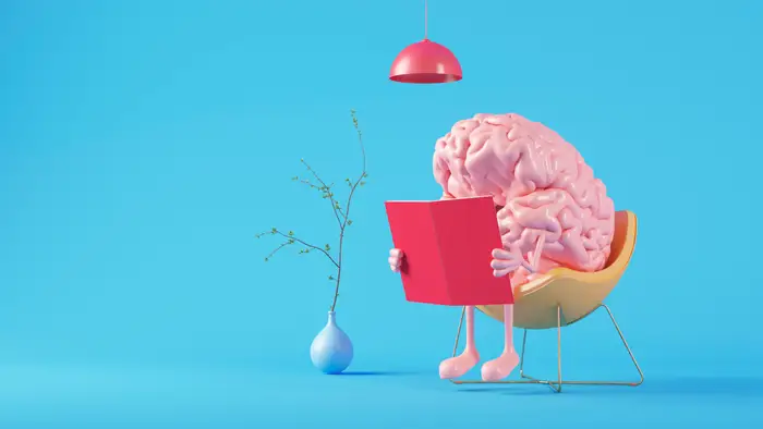 1747896759 30 انواع تیپ مغزی و تأثیر آن بر شخصیت ‌ تیپ.webp