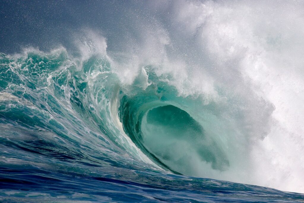 برندگان مسابقه عکاسی اقیانوس ۲۰۲۵ اشکار شدند؛ سرنوشت تلخ نهنگ_آفتاب وطن 43 مسابقه عکاسی اقیانوس 2025