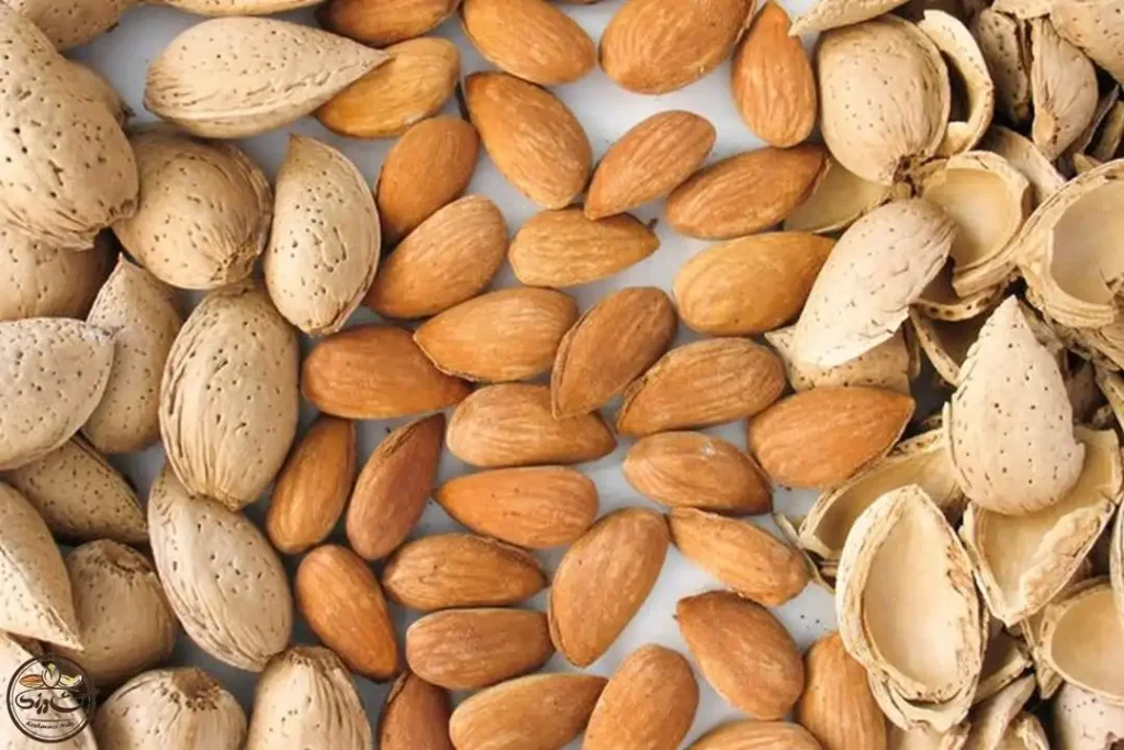 برای افت اسید معده چه بخوریم؟ | ۲۶ خوراکی برای افت اسید معده_آفتاب وطن 33 برای افت اسید معده چه بخوریم؟ ۲۶ خوراکی برای.webp