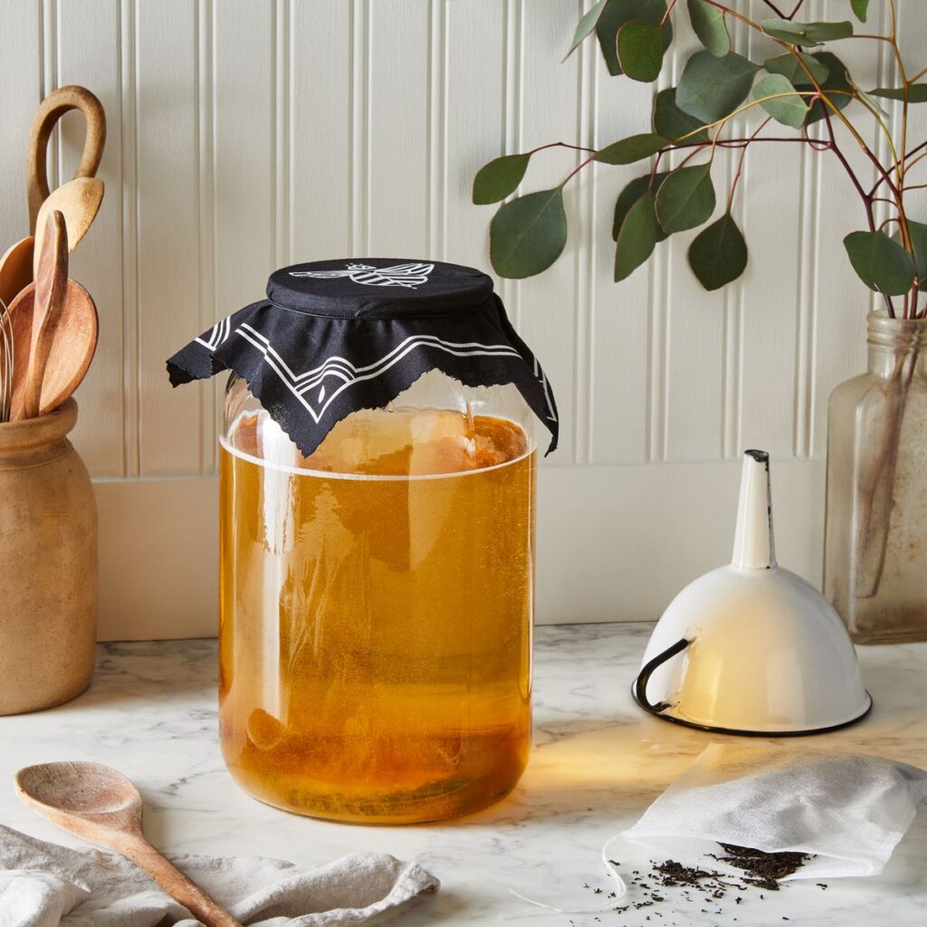 چطور نوشیدنی تخمیری خوردن را شروع کنیم؟