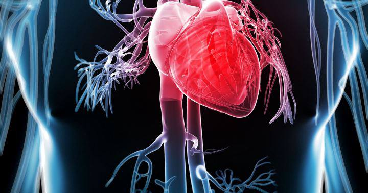 شیرین گفتن برای چی خوبه: ۲۷تا از خواص شیرین بیان_آفتاب وطن 24 خواص شیرین بیان - کمک به افزایش سلامت قلب و عروق