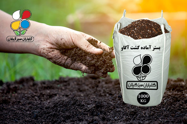 خرید خاک روف گاردن