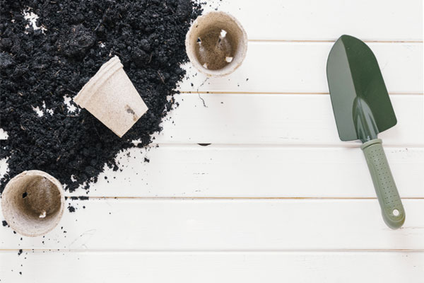 خرید خاک روف گاردن