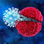 مهندسی باکتری‌های خاصی که تومورها را از درون می‌خورند_آفتاب وطن