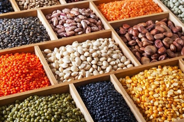 منابع پروتئین گیاهی برای رژیم سالم و متنوع