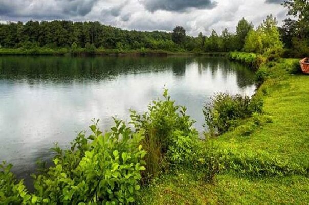 مدل‌سازی روابط اکوژئومورفیک حوضه‌های رودخانه‌ای تالش